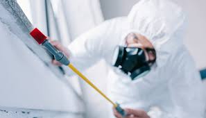 Best Commercial Pest Control  in Lake Zurich, IL